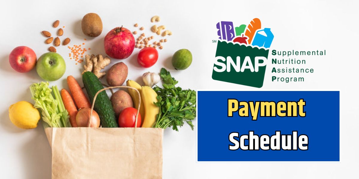 Snap Payment Schedule